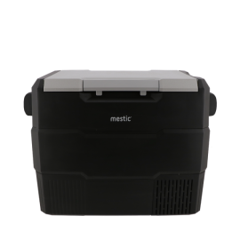 Mestic