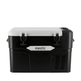 Mestic
