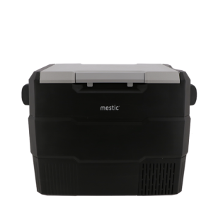 Mestic