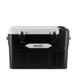 Mestic