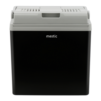 Mestic
