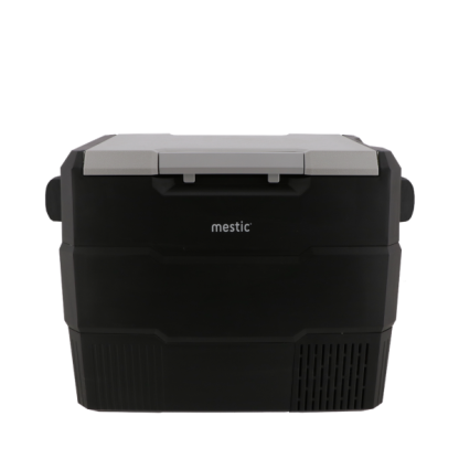 Mestic