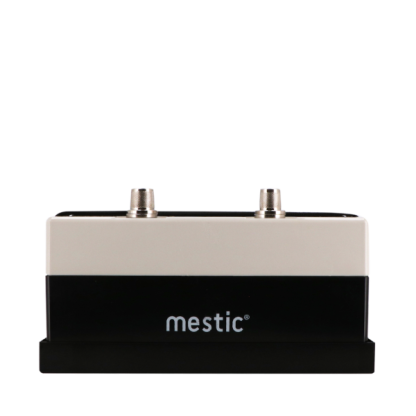Mestic