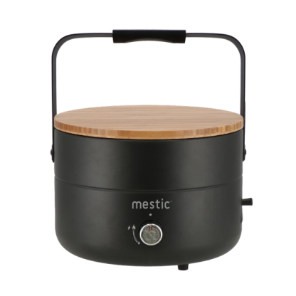 Mestic