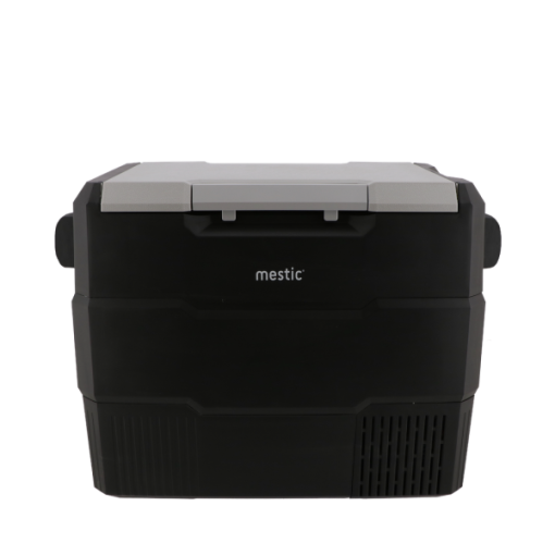 Mestic