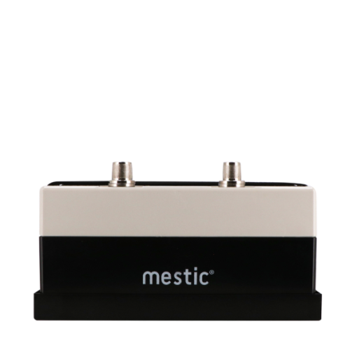 Mestic