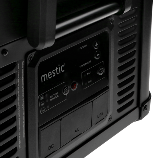 Mestic